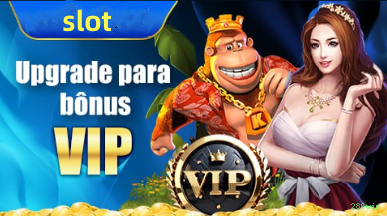 Programa VIP 286win